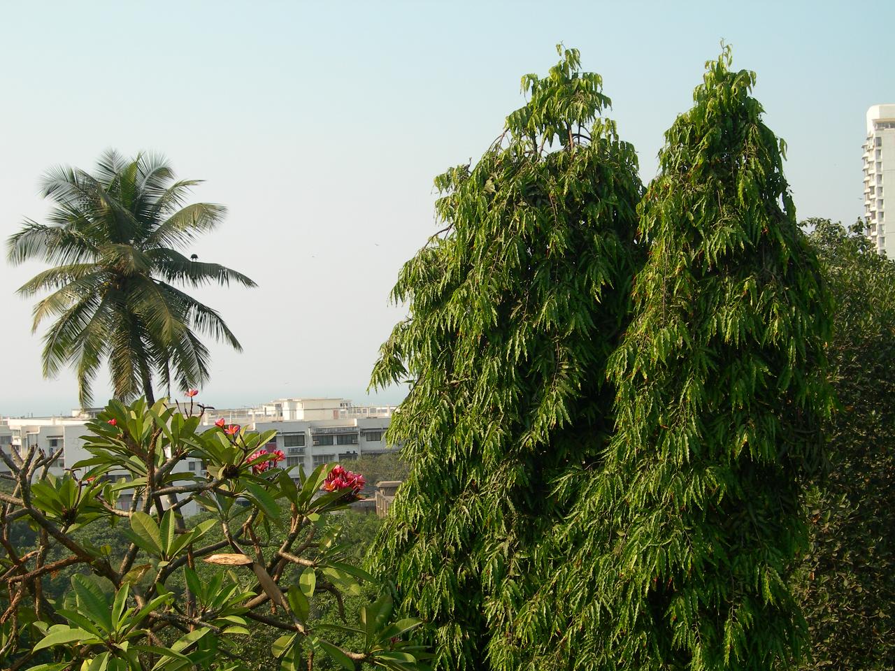 mumbai037.jpg