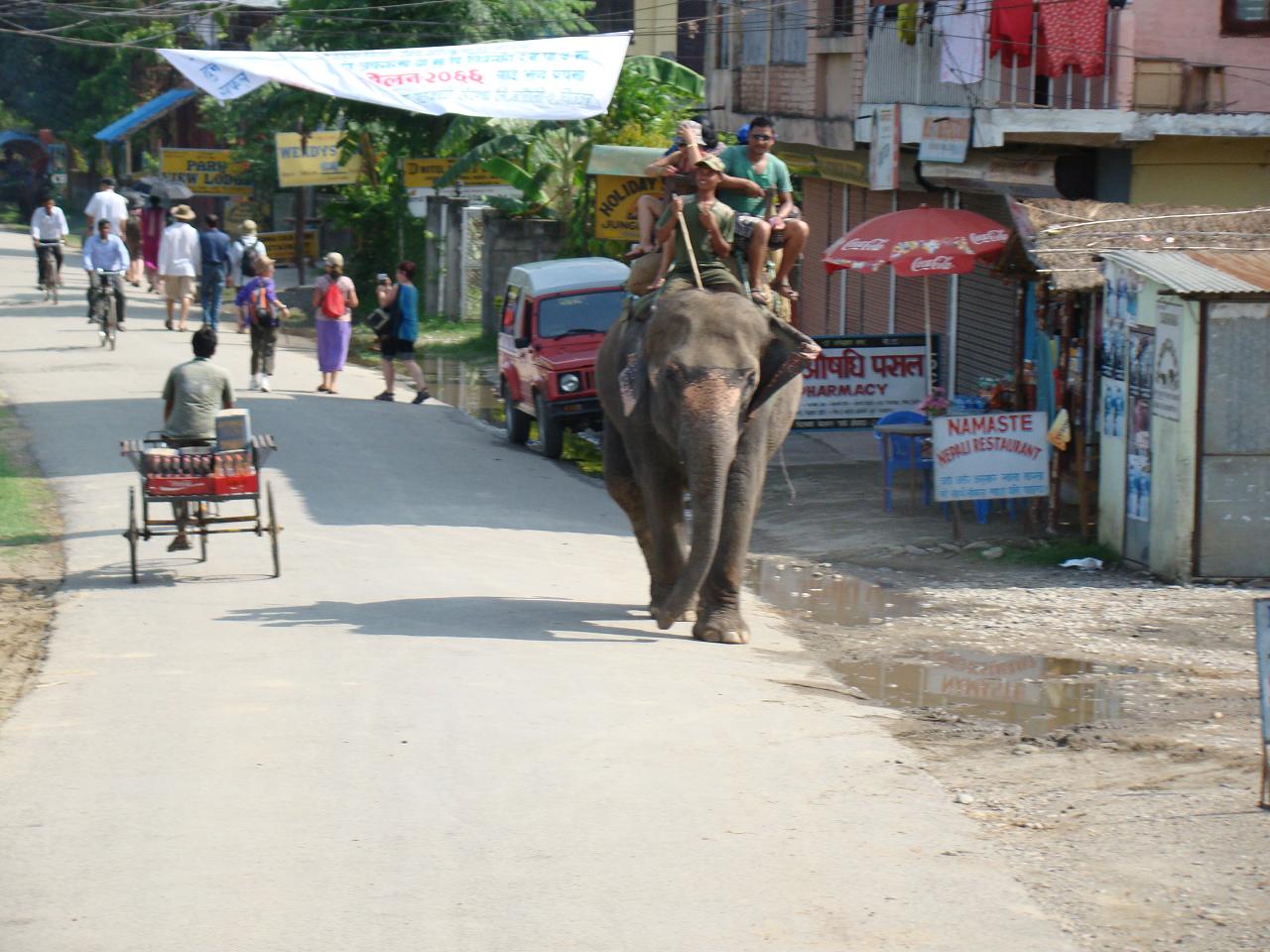 chitwan_elephant_safari003.jpg