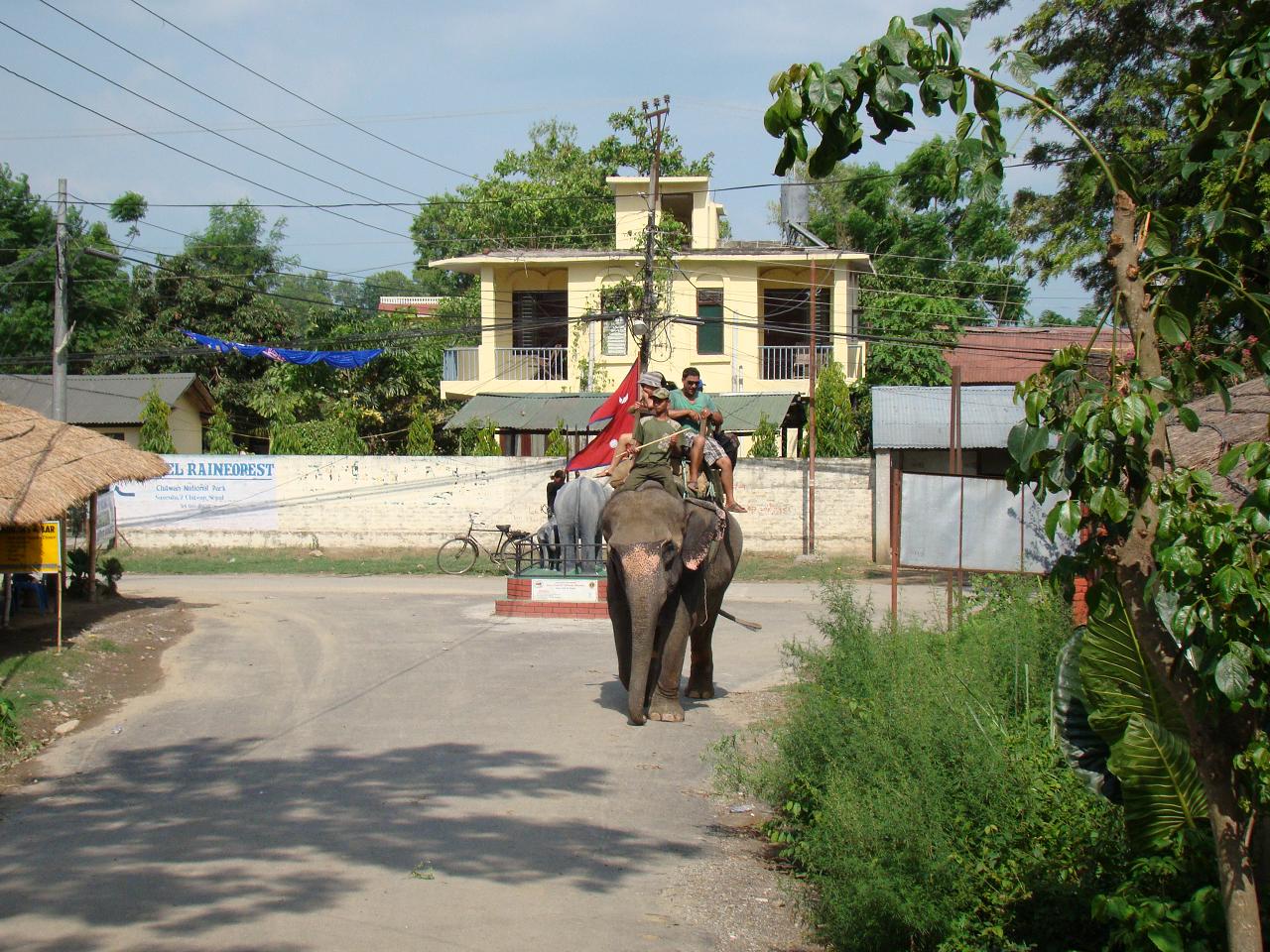chitwan_elephant_safari005.jpg
