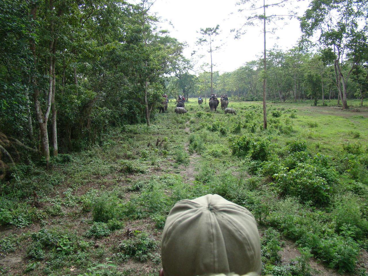 chitwan_elephant_safari030.jpg