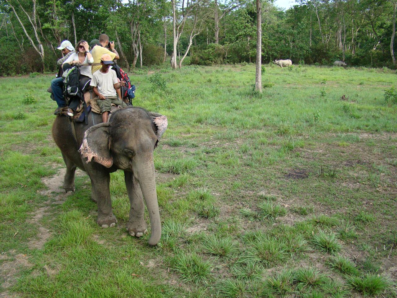 chitwan_elephant_safari072.jpg
