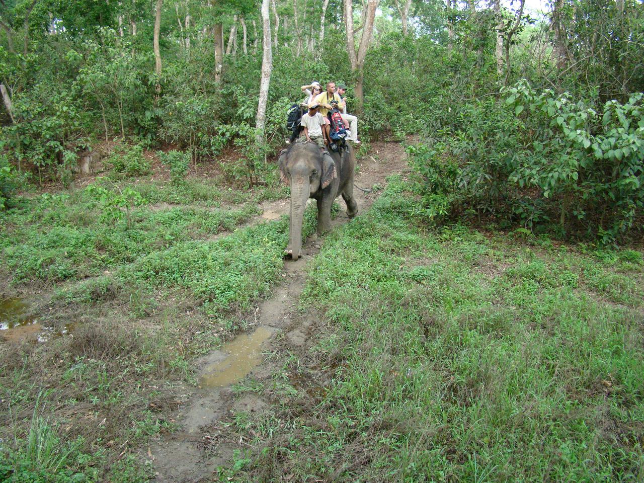 chitwan_elephant_safari075.jpg