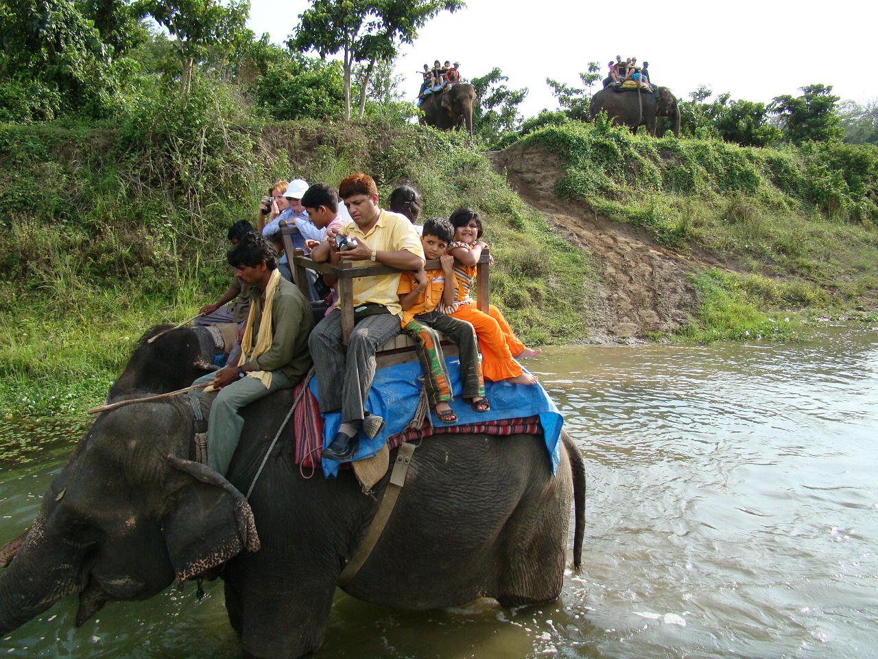 chitwan_elephant_safari103.jpg