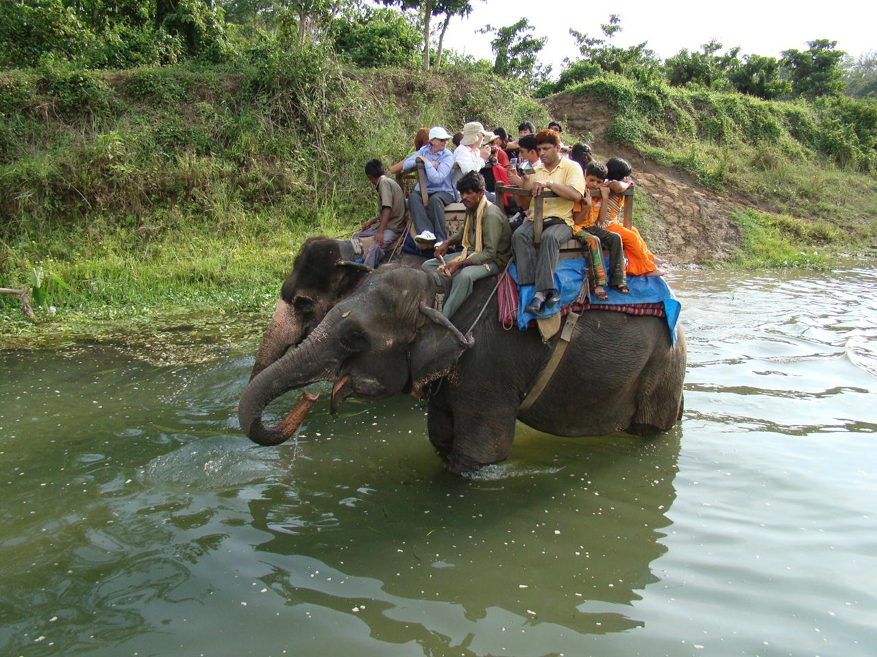 chitwan_elephant_safari107.jpg