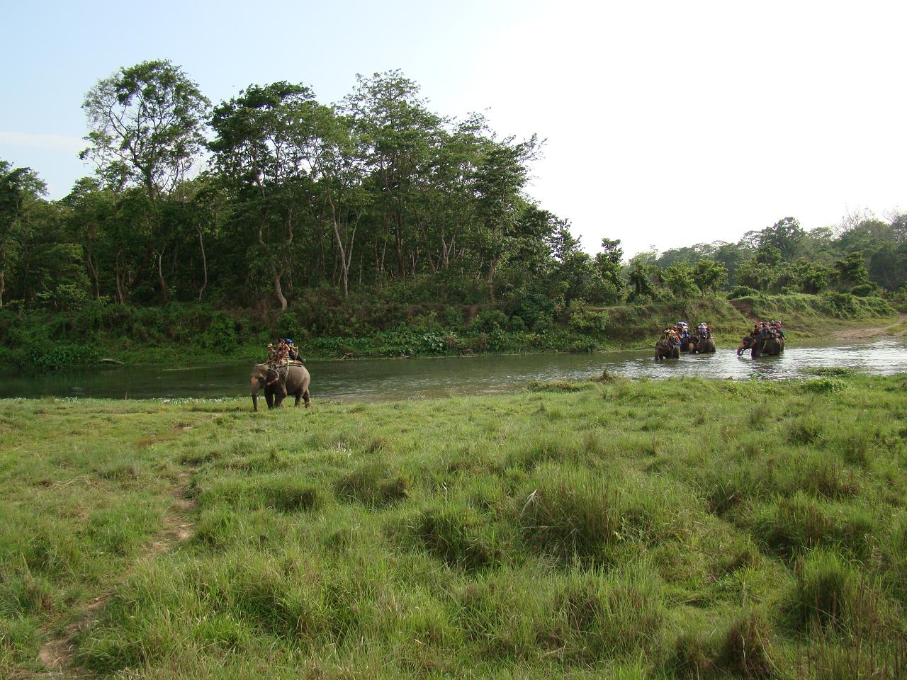 chitwan_elephant_safari116.jpg