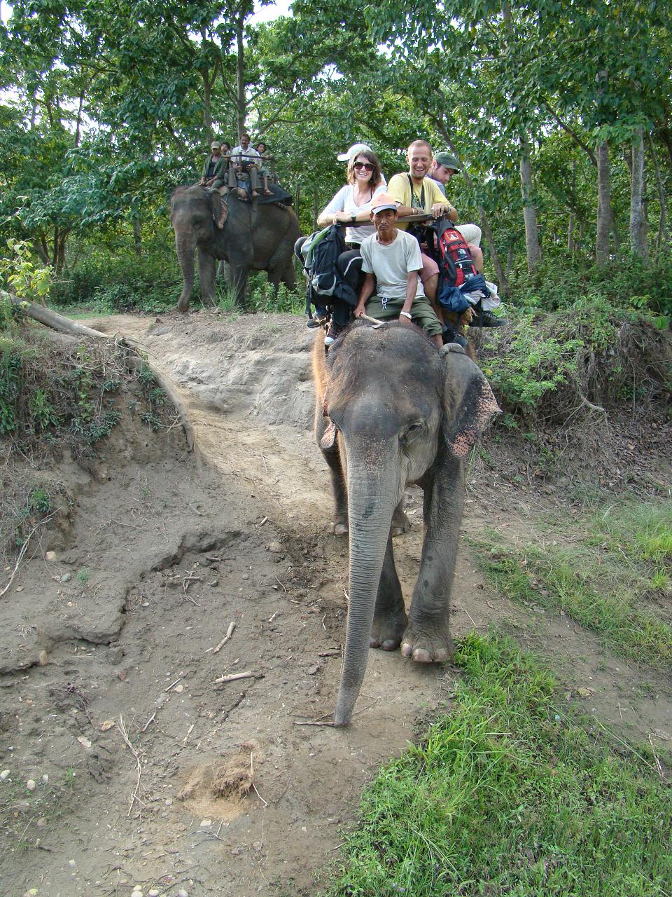chitwan_elephant_safari148.jpg