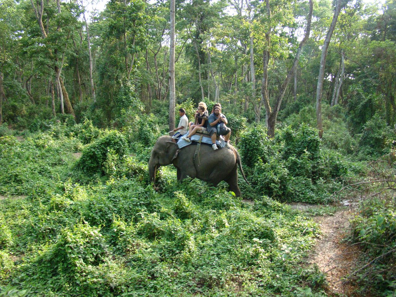 chitwan_elephant_safari187.jpg
