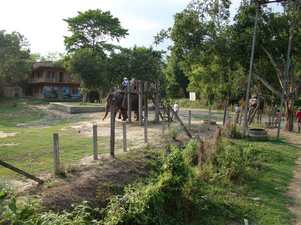 chitwan_elephant_safari202.jpg
