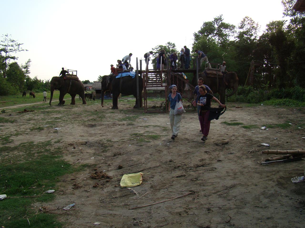 chitwan_elephant_safari240.jpg