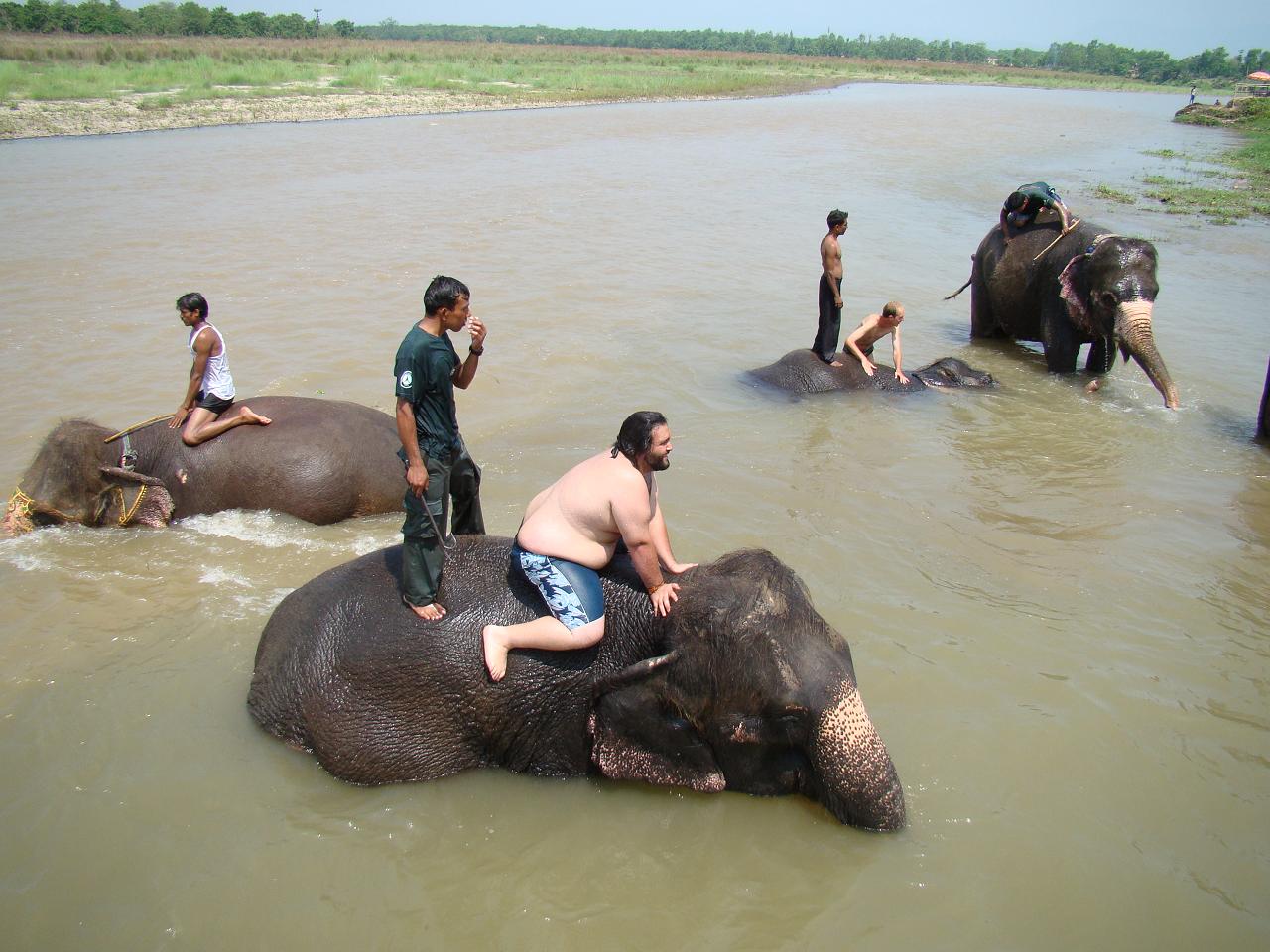 chitwan_elephants_bathing007.jpg