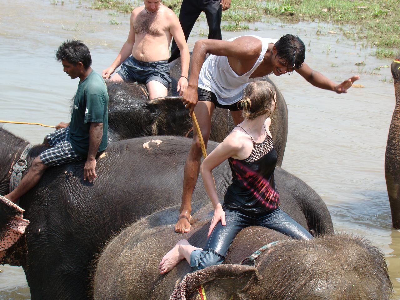 chitwan_elephants_bathing027.jpg