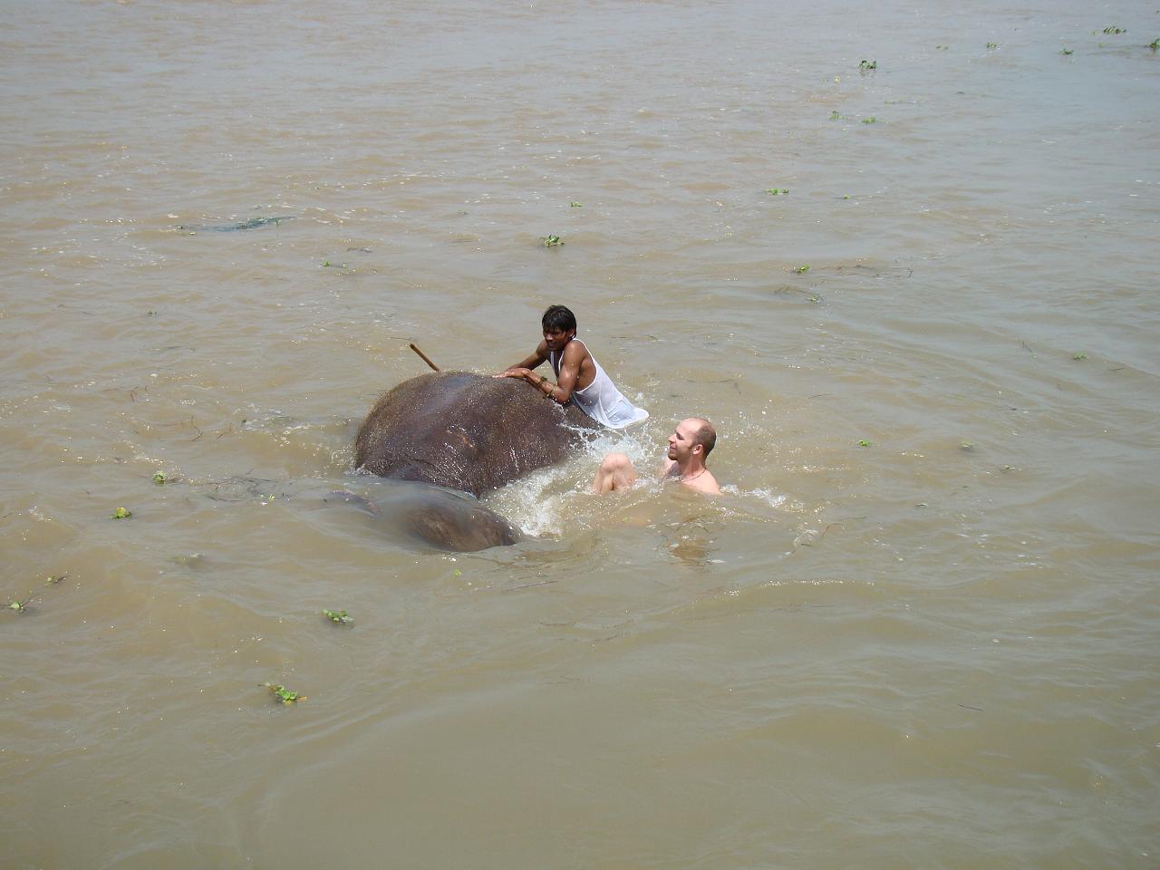 chitwan_elephants_bathing033.jpg