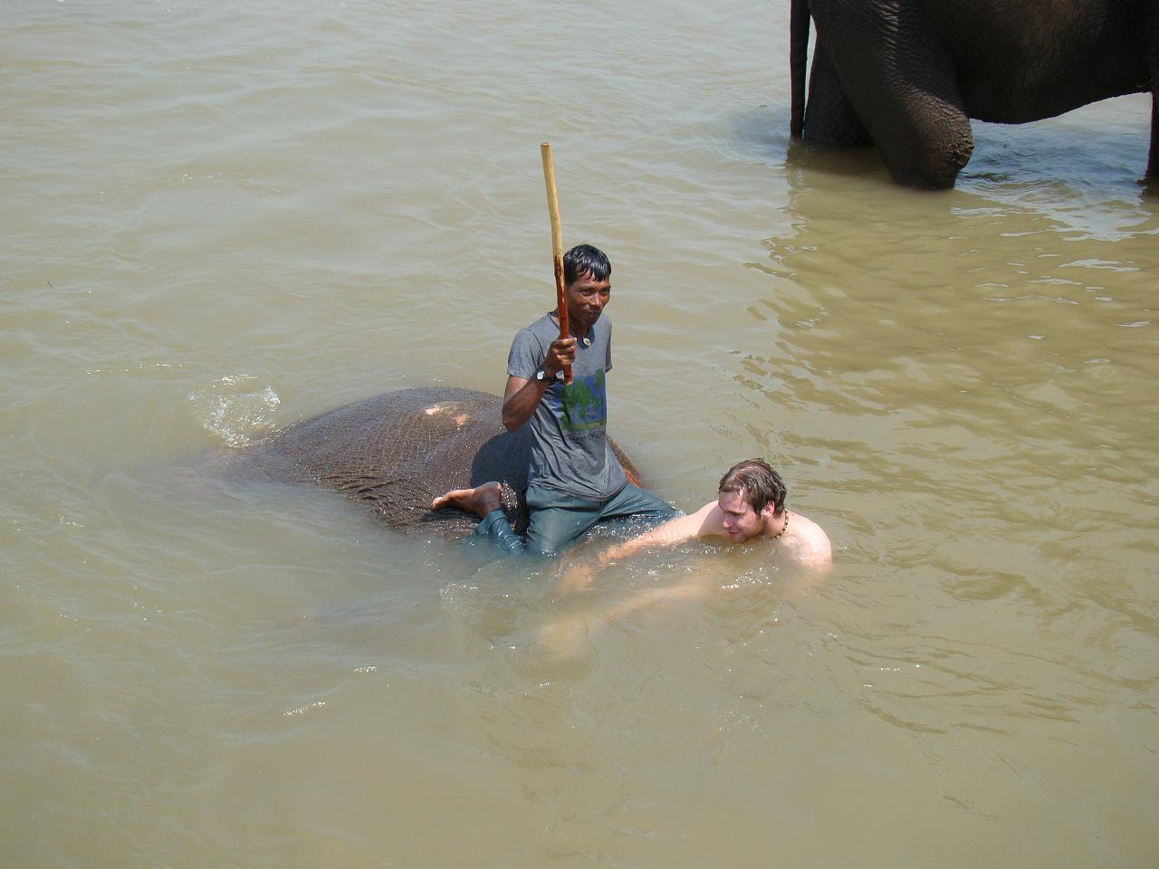 chitwan_elephants_bathing035.jpg