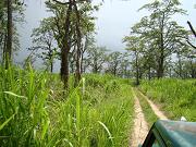 chitwan_jeep_safari008.htm