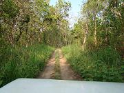 chitwan_jeep_safari133.htm