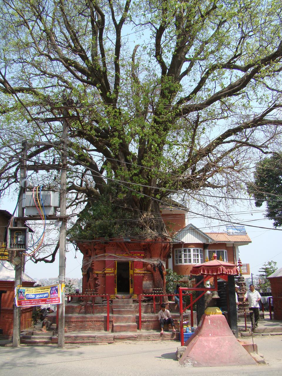 kathmandu116.jpg