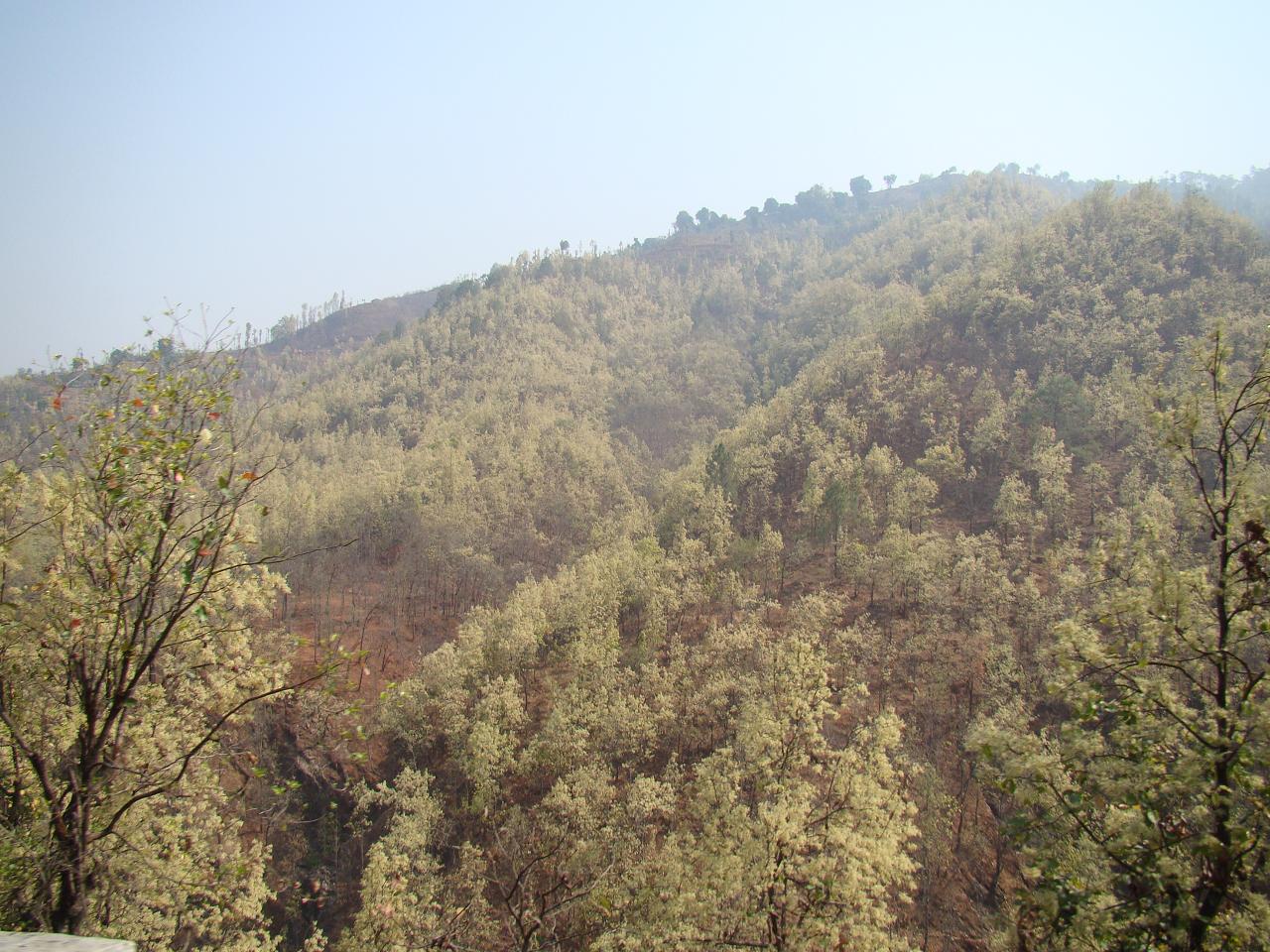 kathmandu_pokhara064.jpg