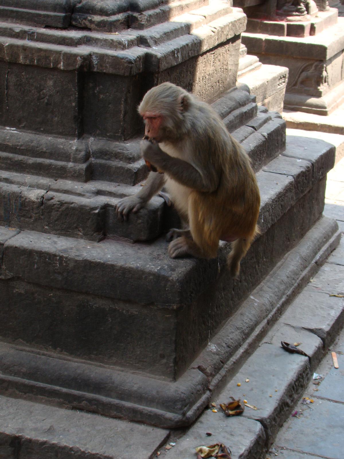 swayambhunath058.jpg