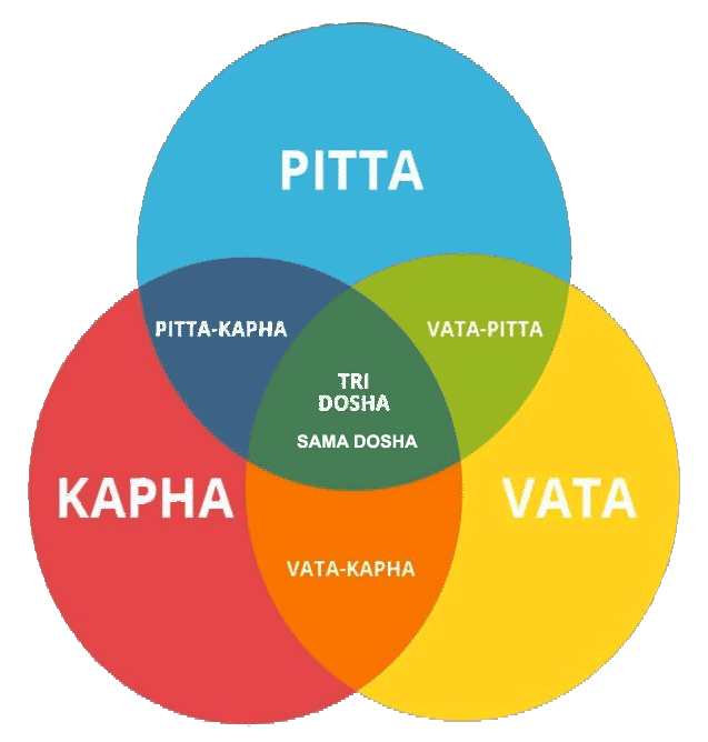 Vata, Pitta & Kapha doshas