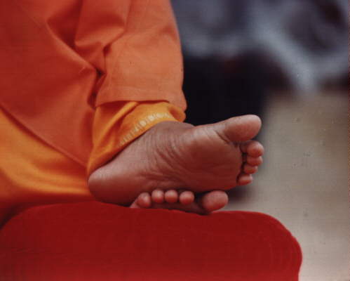 ����� ����� ��� ���� - Sathya Sai Baba's feet