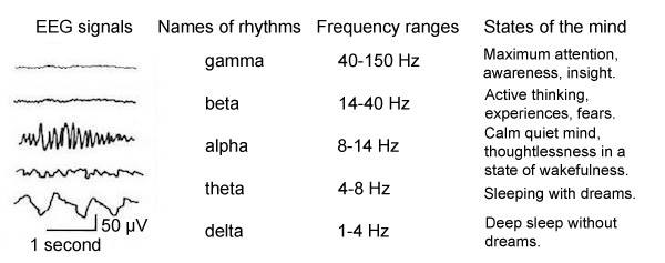 Rhythms of brain