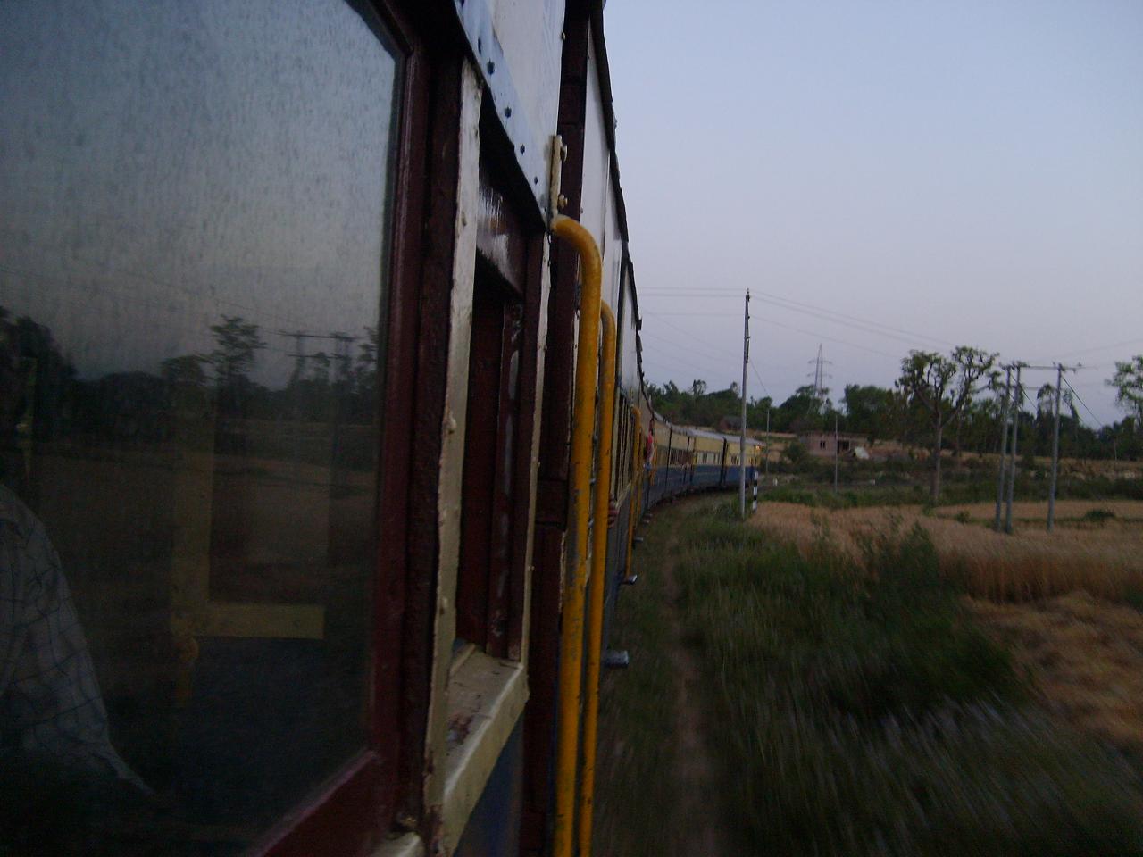 kangra_train007.jpg