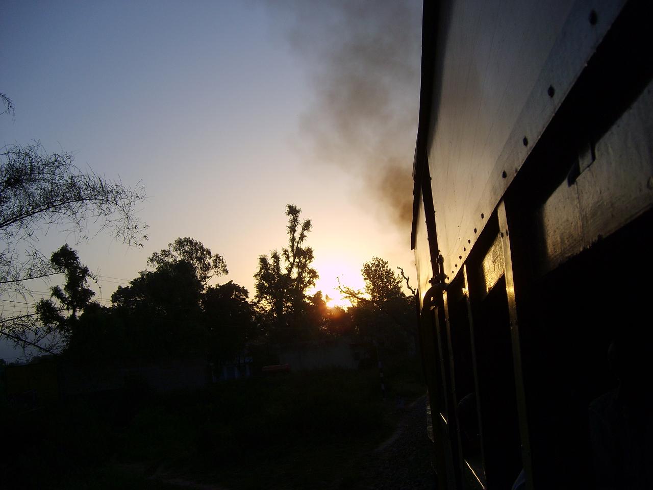kangra_train014.jpg