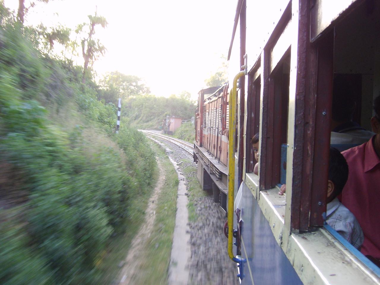 kangra_train015.jpg