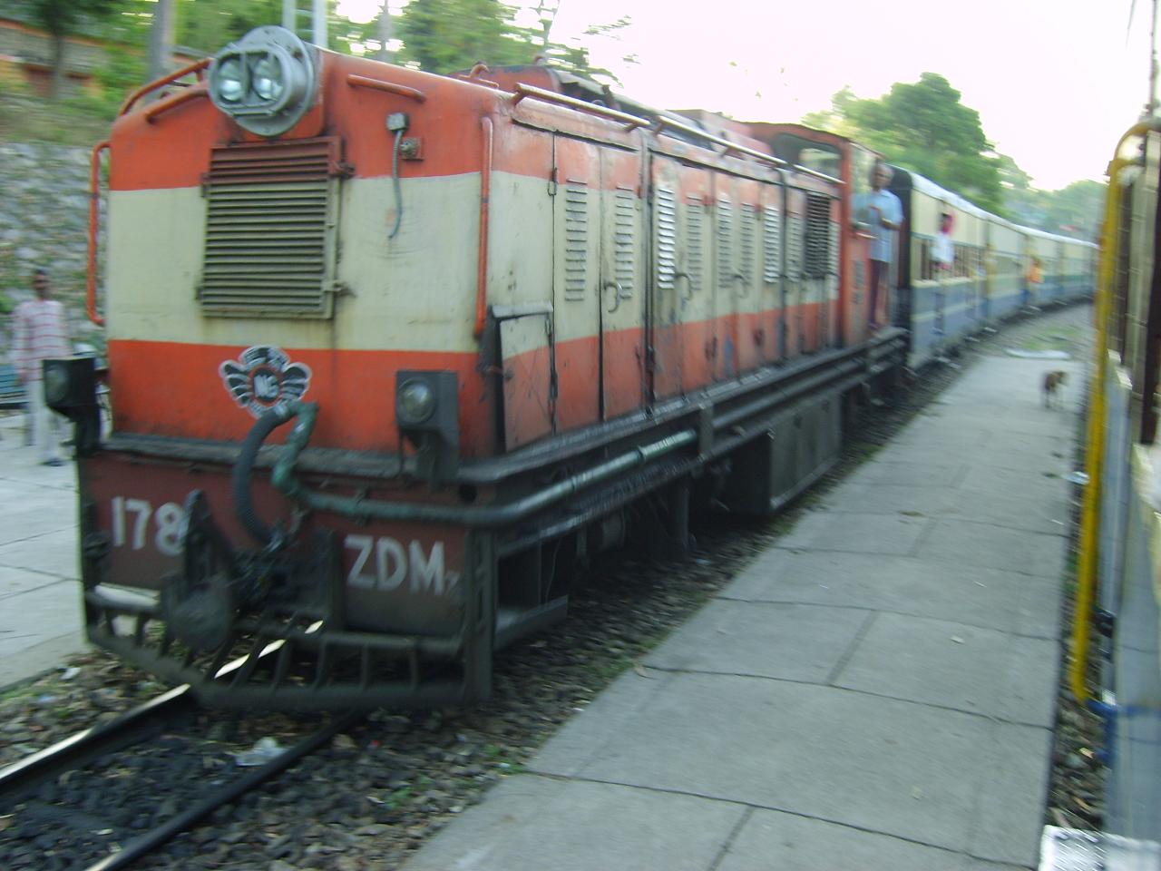 kangra_train025.jpg