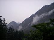 kasol005