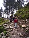 malana006