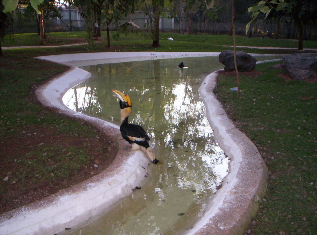 mysore_zoo200.jpg