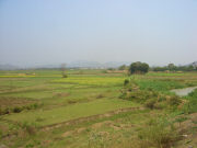 orissa002.jpg