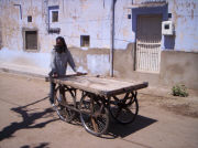 Pushkar rikshaw