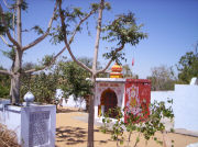 pushkar025.jpg