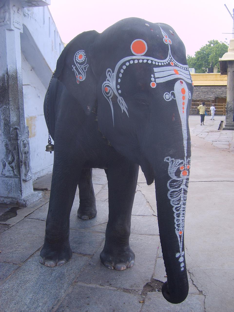 kanchipuram085.jpg