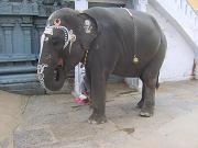kanchipuram053.jpg