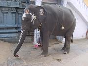 kanchipuram054.jpg