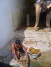 kanchipuram064.jpg