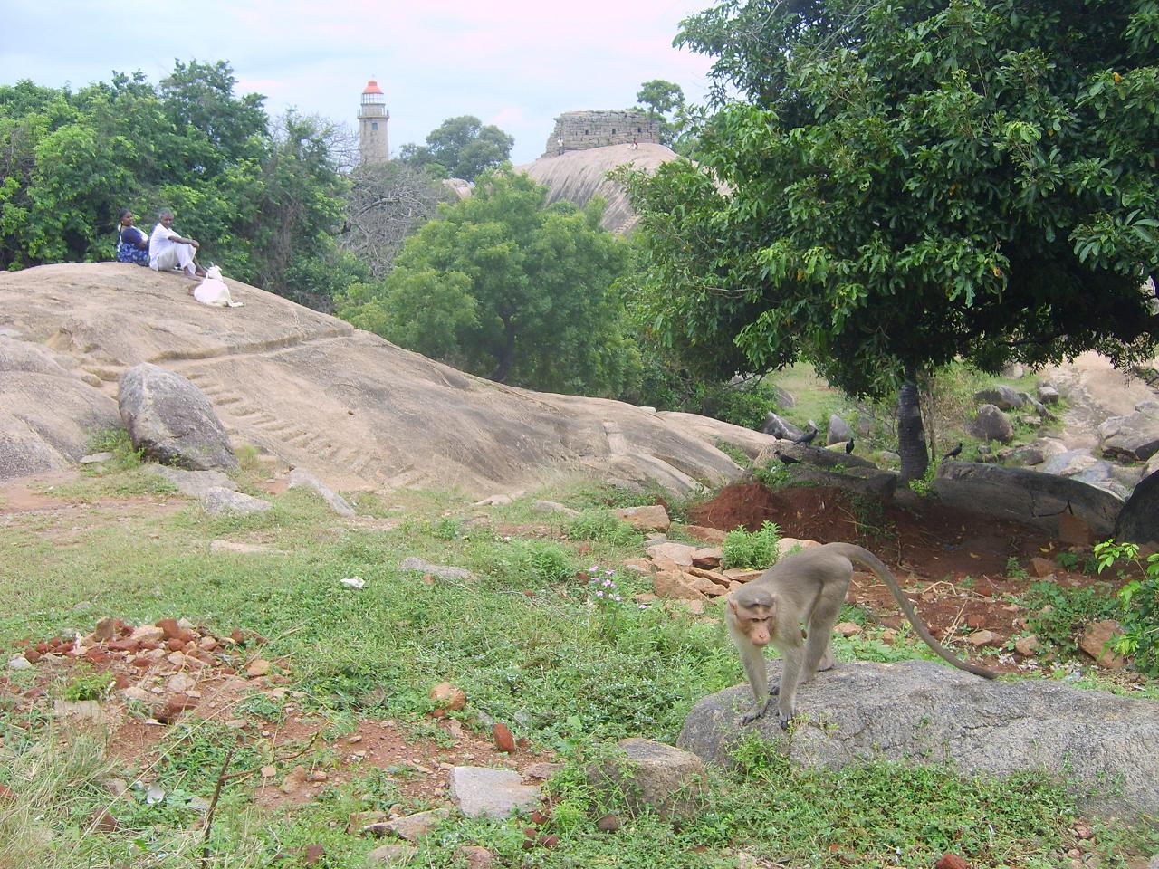 mahabalipuram043.jpg