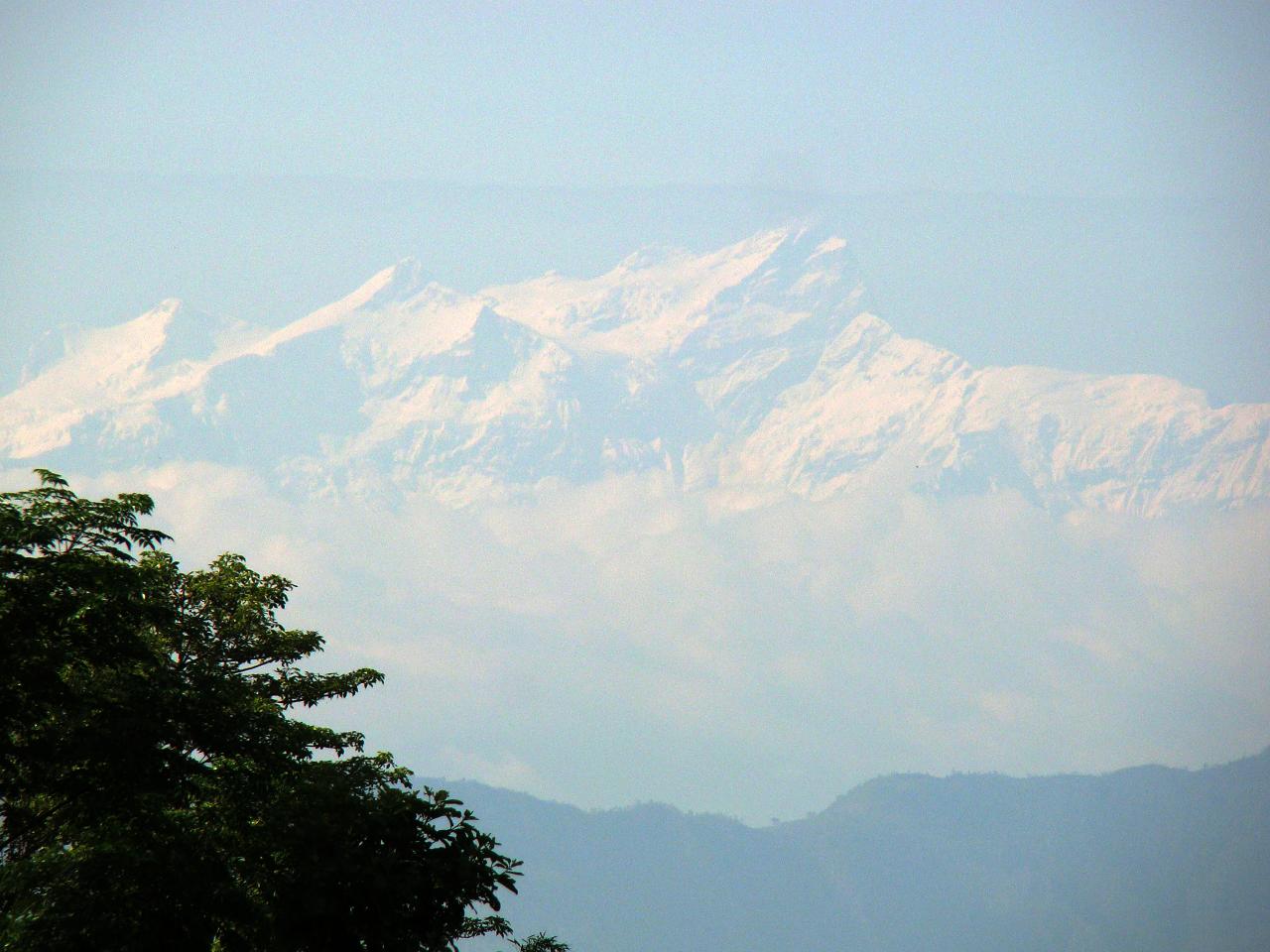 chitwan022.jpg