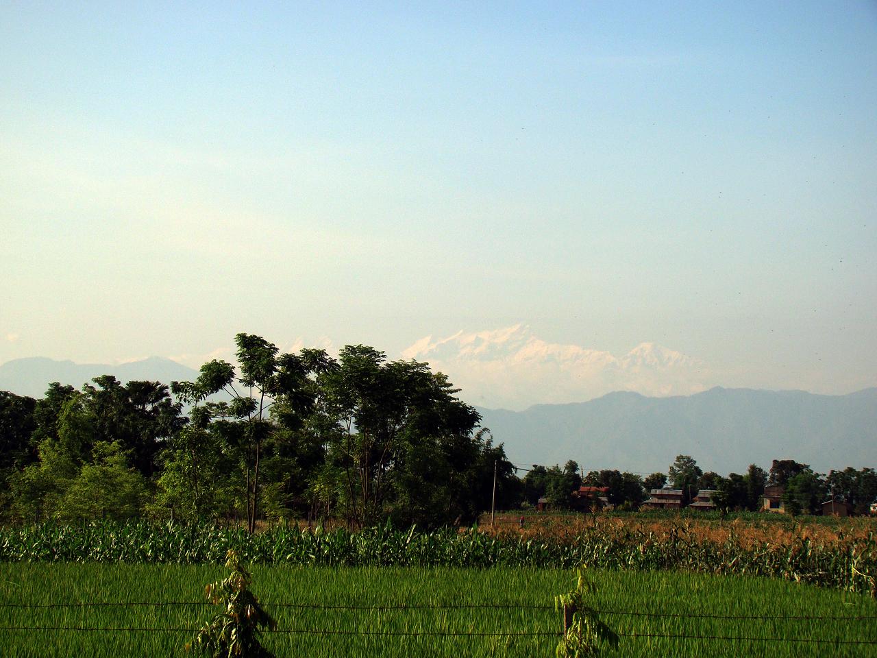 chitwan023.jpg