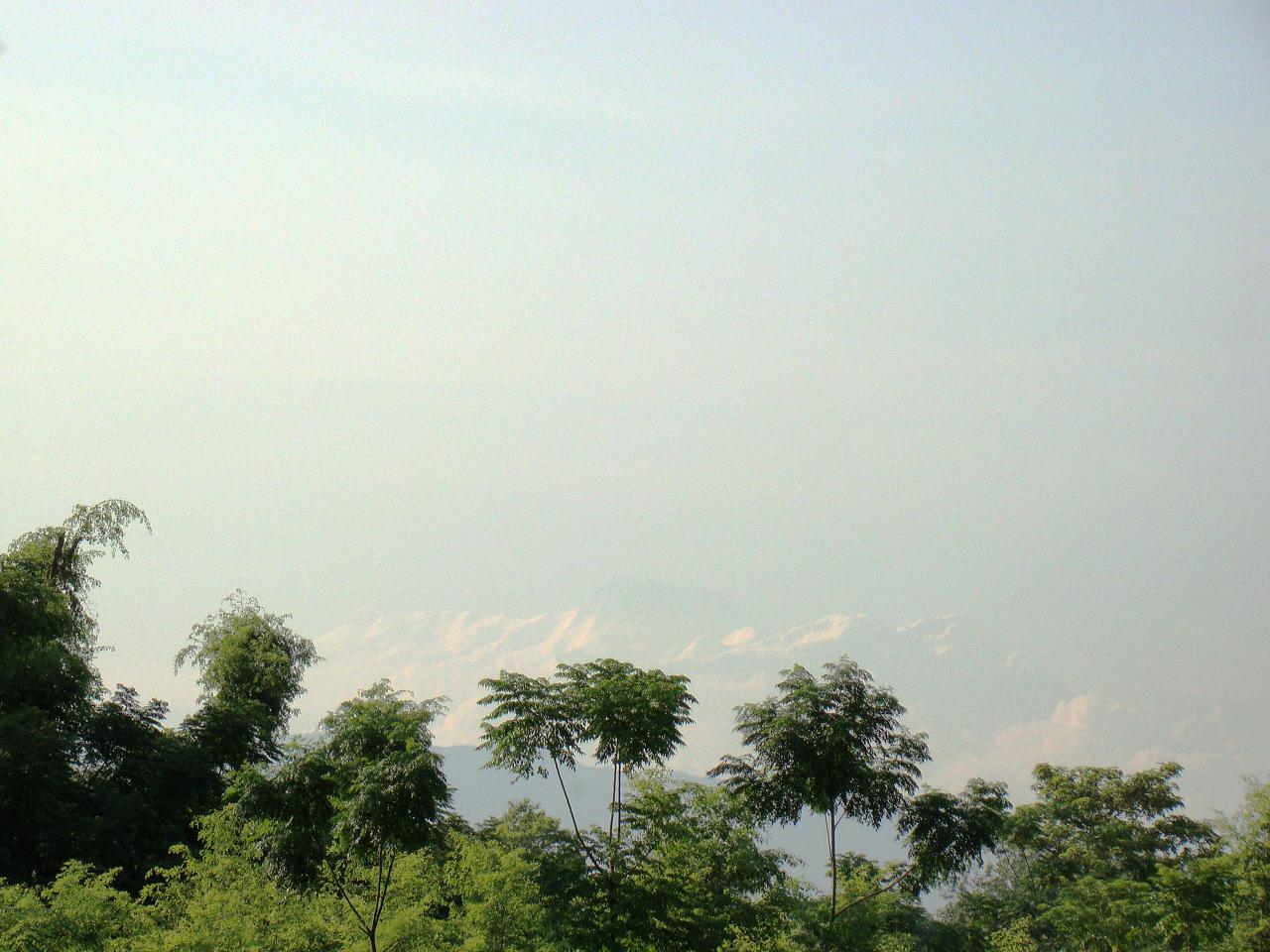 chitwan024.jpg