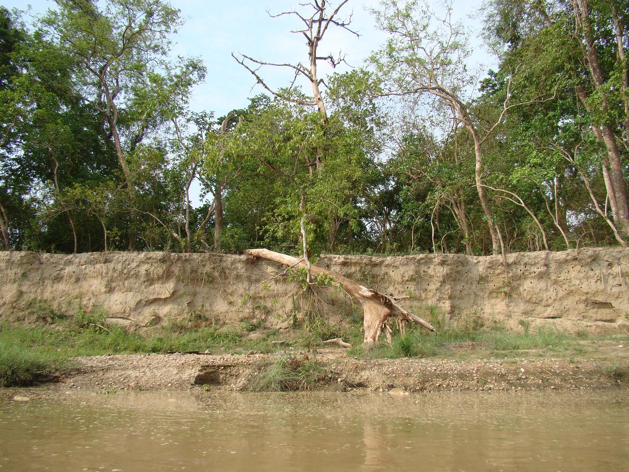 chitwan_canoe_safari046.jpg