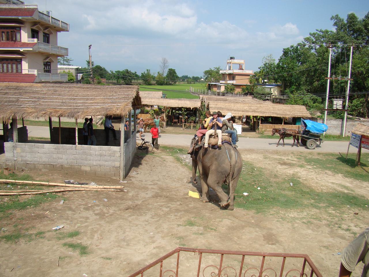 chitwan_elephant_safari001.jpg