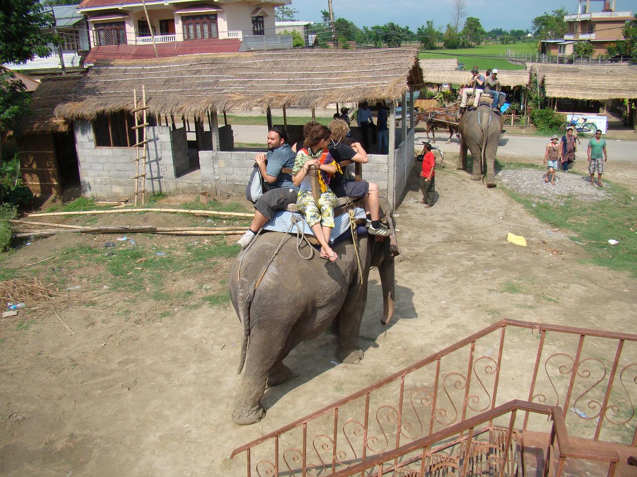 chitwan_elephant_safari002.jpg