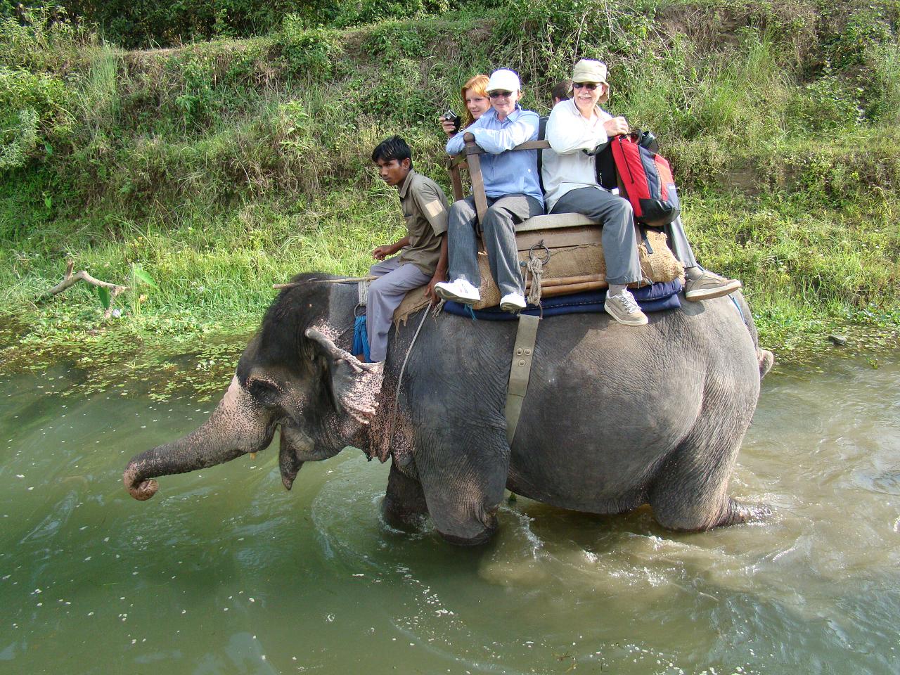 chitwan_elephant_safari099.jpg