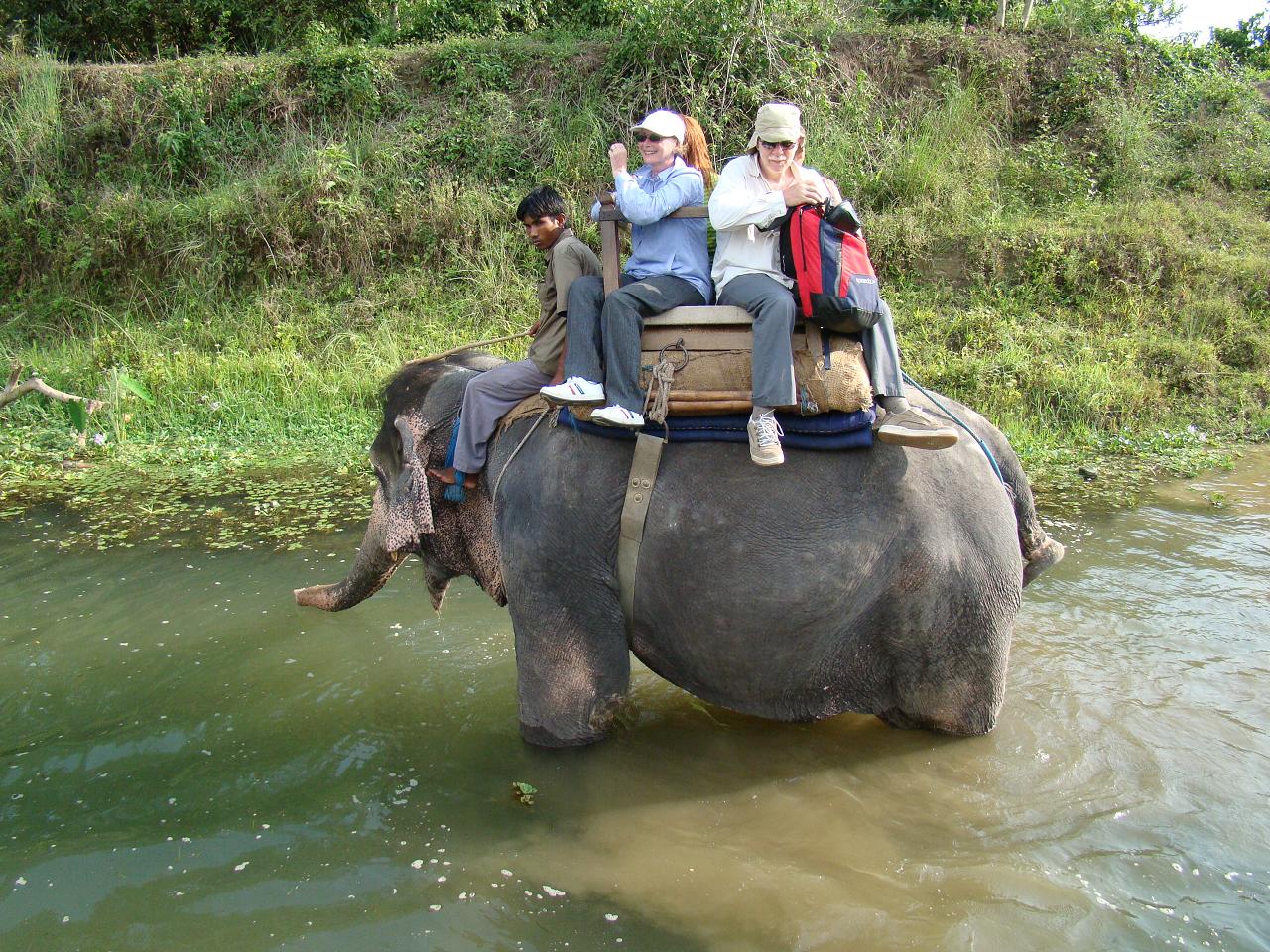 chitwan_elephant_safari100.jpg