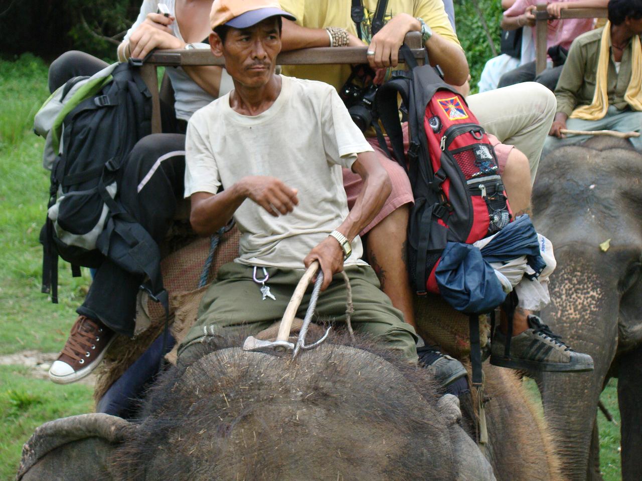chitwan_elephant_safari132.jpg