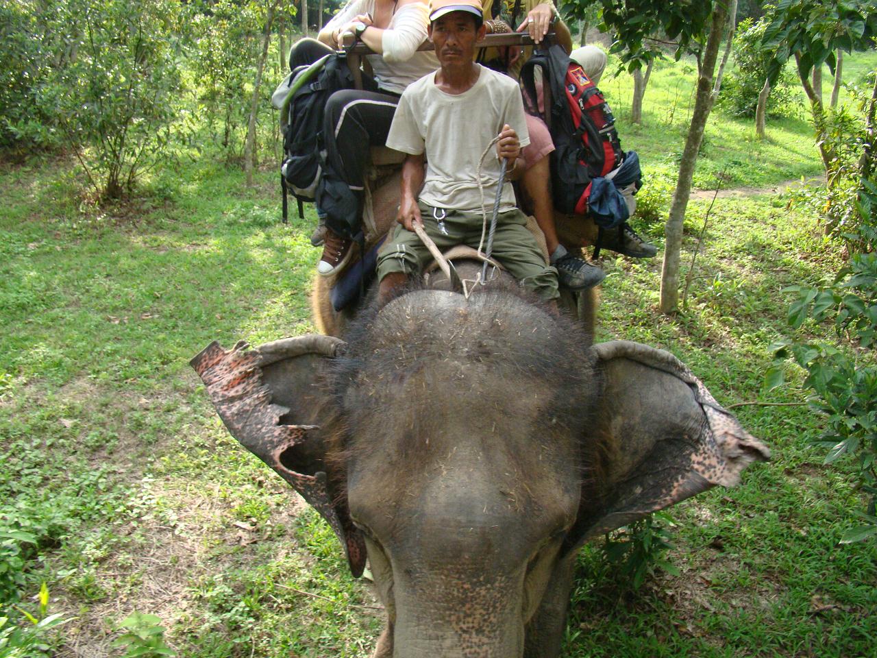 chitwan_elephant_safari140.jpg